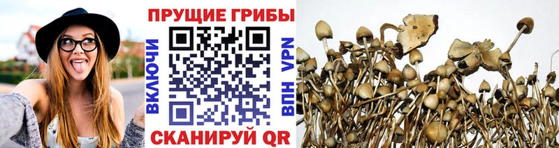 Галлюциногенные грибы MAGIC MUSHROOMS  нарко площадка состав  Юрюзань  как найти  